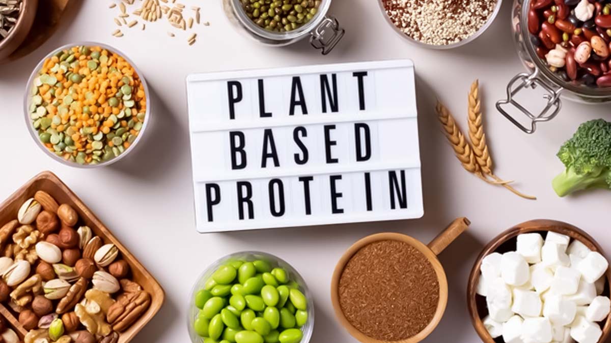 Power Up Your Plant-Based Plate: A Guide to Protein Sources for Vegans