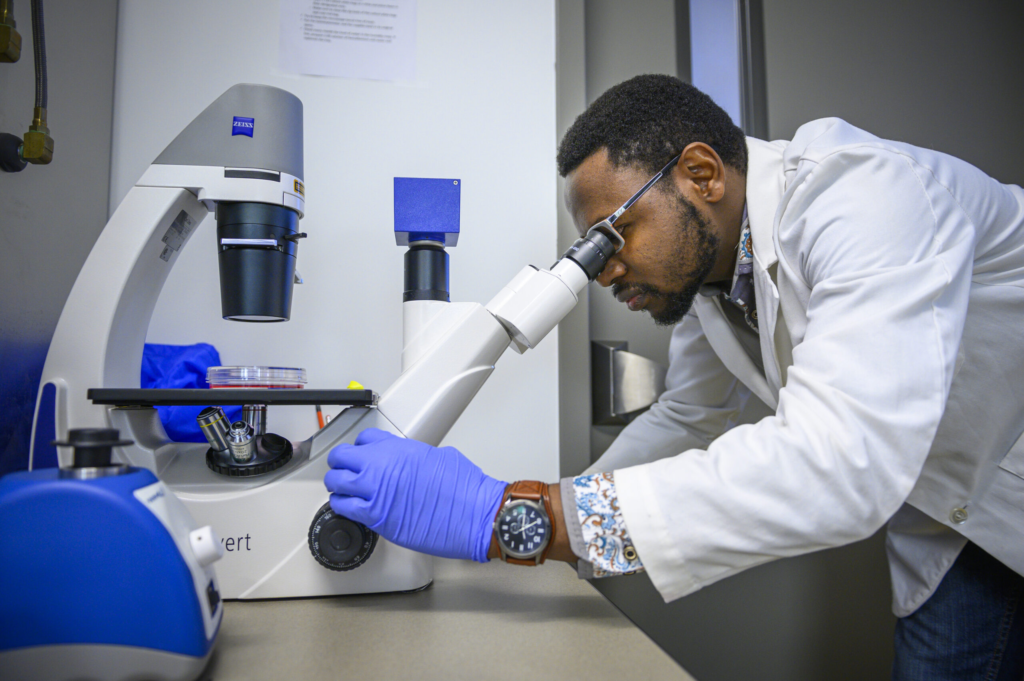 image-5-1024x681 How to Increase Your Lifespan: Insights from the Latest Scientific Research